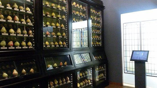Museo della Frutta